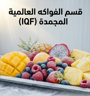 ‏‏gemini generated image k8g3hkk8g3hkk8g3 نسخة (2)